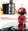1100W Household Centrifugal Multifunctional Electric Juicer (non BPA) by Pulyston